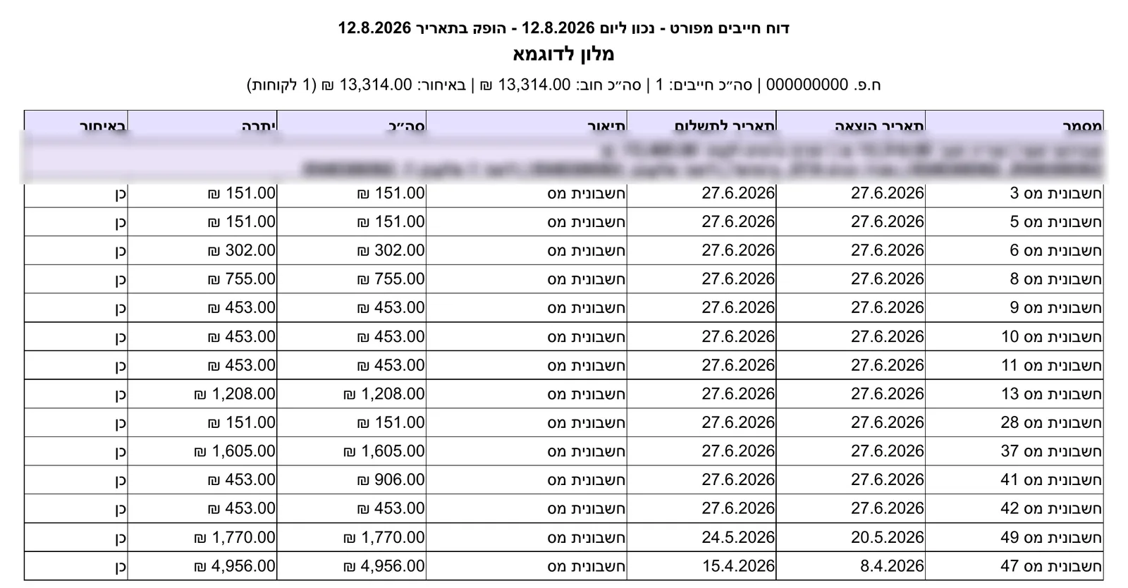 קובץ הייצוא של דוח חייבים מפורט — כרטיס לקוח בודד עם כל החשבוניות הפתוחות, יתרה וסימון באיחור (פרטי הלקוח טושטשו לצורך התצוגה)